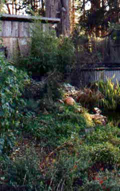 Pond, water storage tank, trees and light