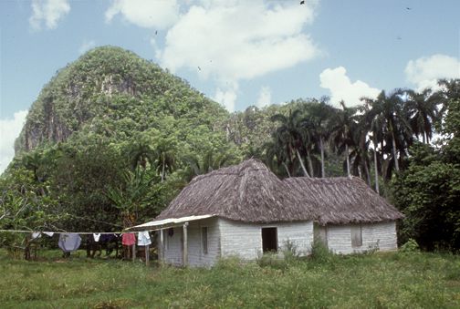 Cuba "typical" country home