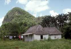 Cuba "typical" country home